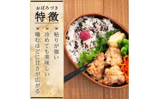 令和7年産 北海道岩見沢市産 おぼろづき玄米10kg ≪沖縄・離島配送不可≫