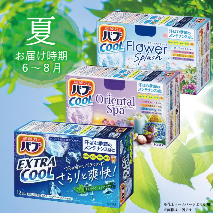 夏　6～8月　※一例です。メーカーの生産状況により、内容が変更になる場合があります。ご了承ください。