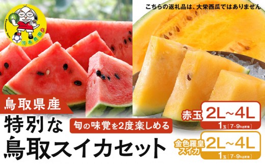 1118.旬の味覚を2度楽しめる、特別な鳥取スイカセット（こちらの返礼品は、大栄西瓜ではありません）