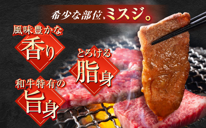 厳選佐賀牛ミスジ焼肉500g / 牛肉 / 佐賀県 / 有限会社片岡精肉店 [41AEAC014]