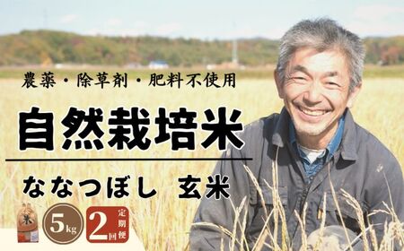 【全2回定期便】【玄米】 自然栽培米 角田玄米（ななつぼし）5kg《厚真町》【カクタファーム】[AXAR007] 米 お米 玄米 ななつぼし ご飯 北海道 定期便