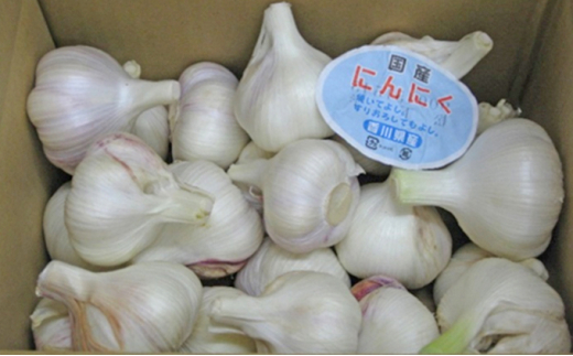 
[№5668-0406]島育ち！生にんにく（新物）約２kg
