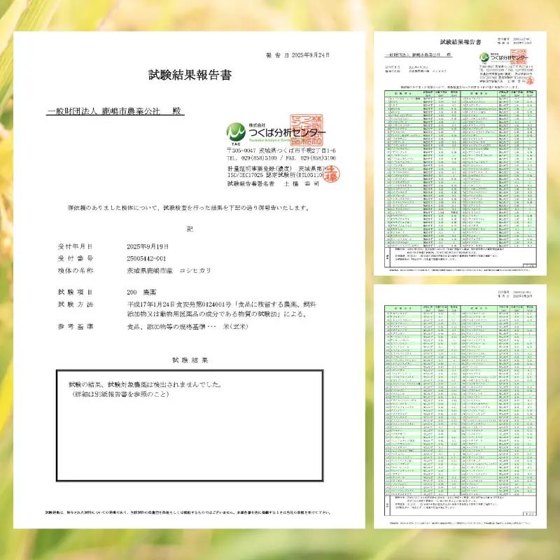 新米 こしひかり 玄米 30kg 新米 【令和8年産 先行予約限定】