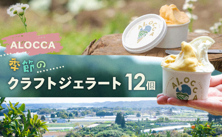 オーガニックタウン綾町から届く、季節のクラフトジェラート〈12個セット〉
