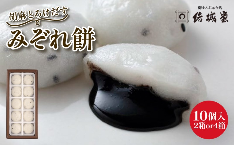 
            みぞれ餅 胡麻 10個入り 選べる 2～4箱 胡麻饅頭 ごま饅頭 冷凍 和菓子 和スイーツ 月岡 月岡温泉 お菓子 ご褒美 贈答用 プレゼント お土産 老舗 結城堂 新潟県 新発田市 yukido010P
          