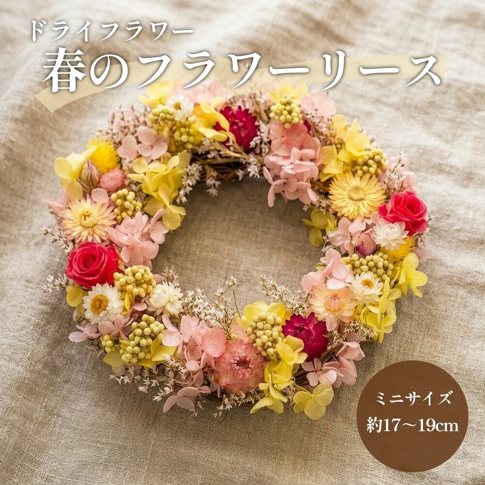 【ふるさと納税】【ドライフラワー】春のフラワーリース ミニサイズ 約17〜19cm