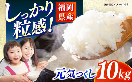 【令和7年産】果物屋さんが選んだ米 元気つくし 10kg 米 白米 お米 ブランド米[ABET011]