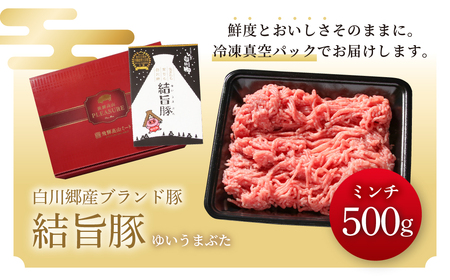 結旨豚 ミンチ 500g 冷凍真空パック | 肉 お肉 豚肉 国産 鍋 お鍋 白川郷 岐阜県 白川村 ブランド豚 人気 おすすめ ギフト 飛騨高山ミート 6000円 [MS029]