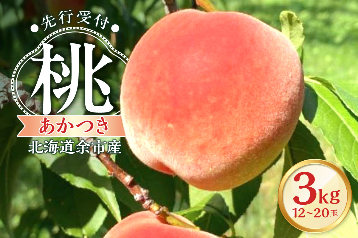 【2026年産 先行予約】＜北海道余市産＞桃「あかつき」3kg（12～20玉）_Y103-0059