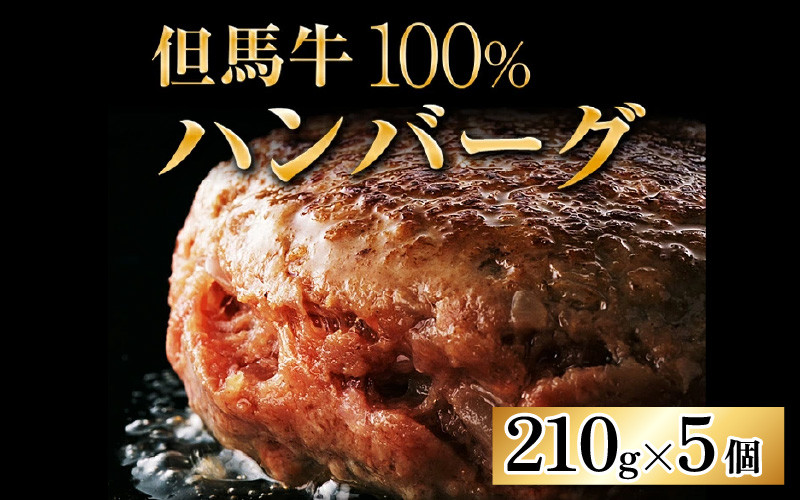 
大切な人に食べてほしい但馬牛100％ ミート・マイチク ハンバーグ 5個セット　計1,050g
