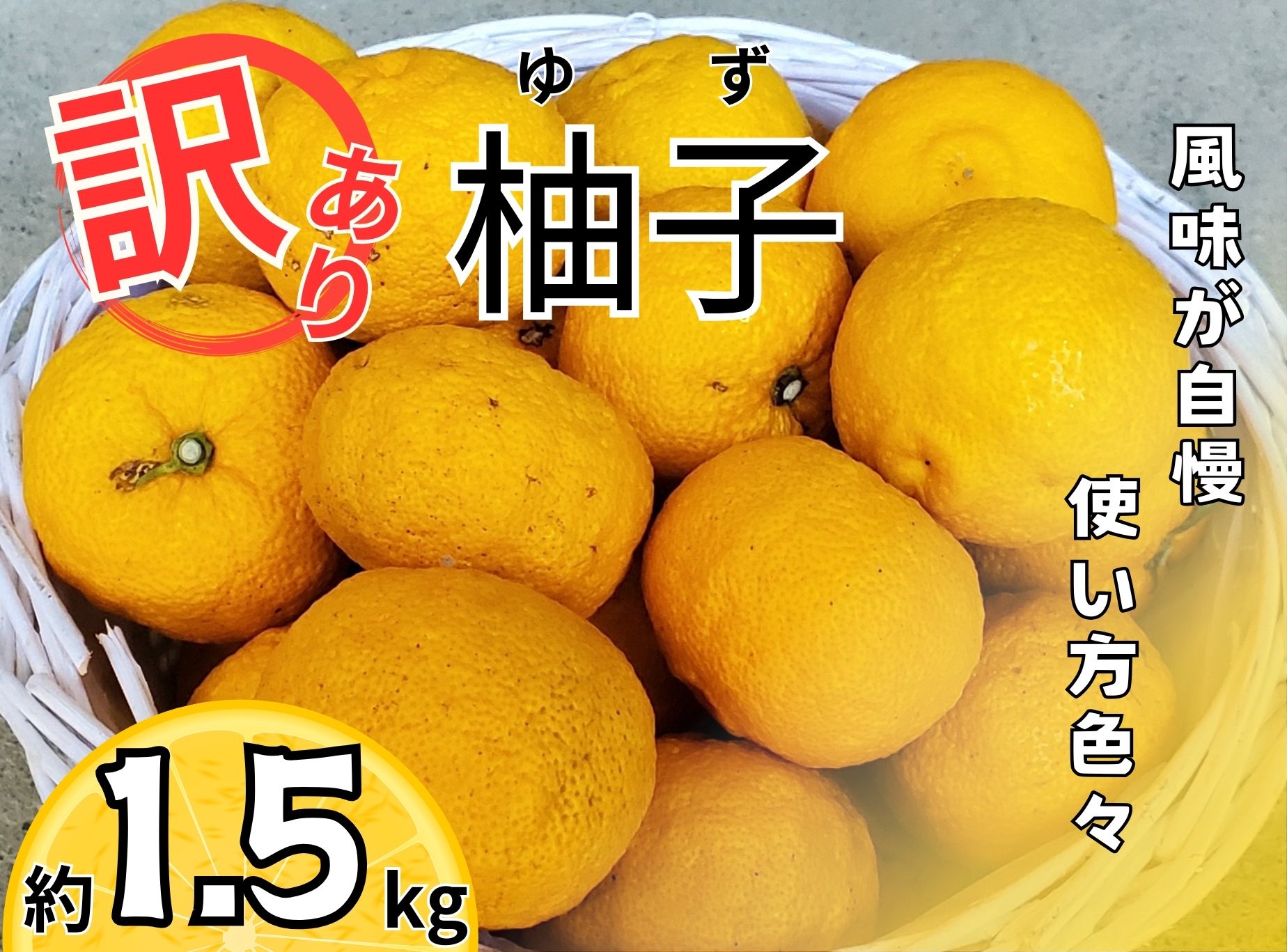 訳あり柚子(約1.5kg）　※11月中旬頃から発送　　※離島不可