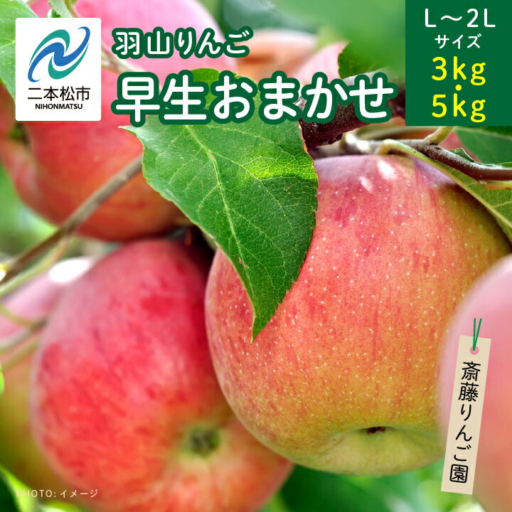 【ふるさと納税】 ＼選べる容量！／《2025年8月下旬以降順次発送》羽山のりんご　早生おまかせL〜2Lサイズ3kg〜5kg りんご リンゴ 果物 フルーツ 3kg 5kg 早生 人気 くだもの おすすめ お中元 お歳暮 ギフト 二本松市 ふくしま 福島県 送料無料 【斎藤りんご園】