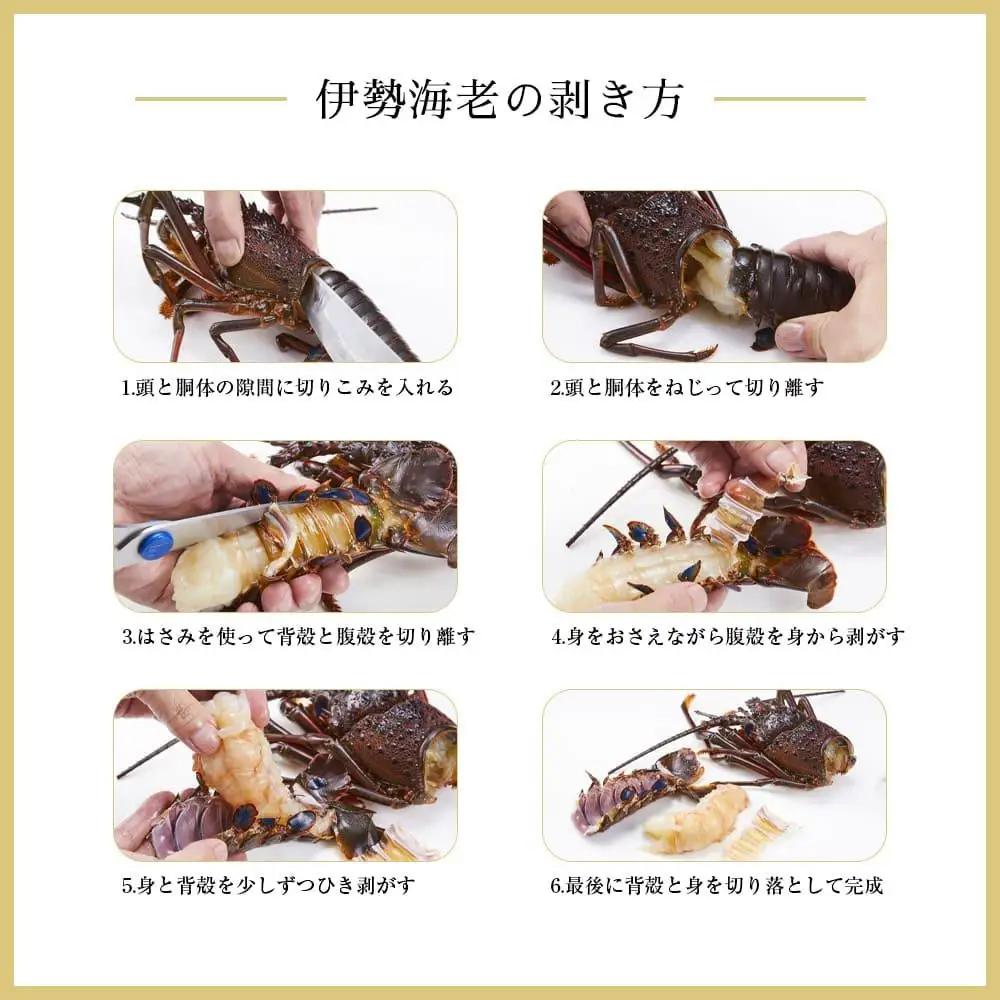 冷凍 伊勢海老 約1kg 2～4匹入り 伊勢海老