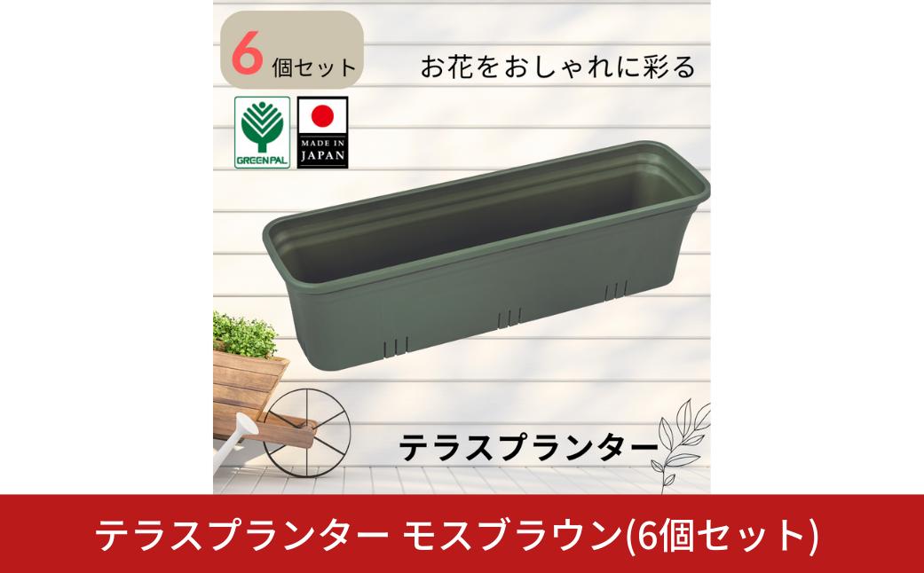 
                  テラスプランター モスグリーン 6個セット 軽量 割れにくい おしゃれ 植木鉢 園芸 ガーデニング 室内 屋外 ベランダ 花 野菜 初心者向け ガーデニング用品 園芸用品 庭いじり【010S851】
                