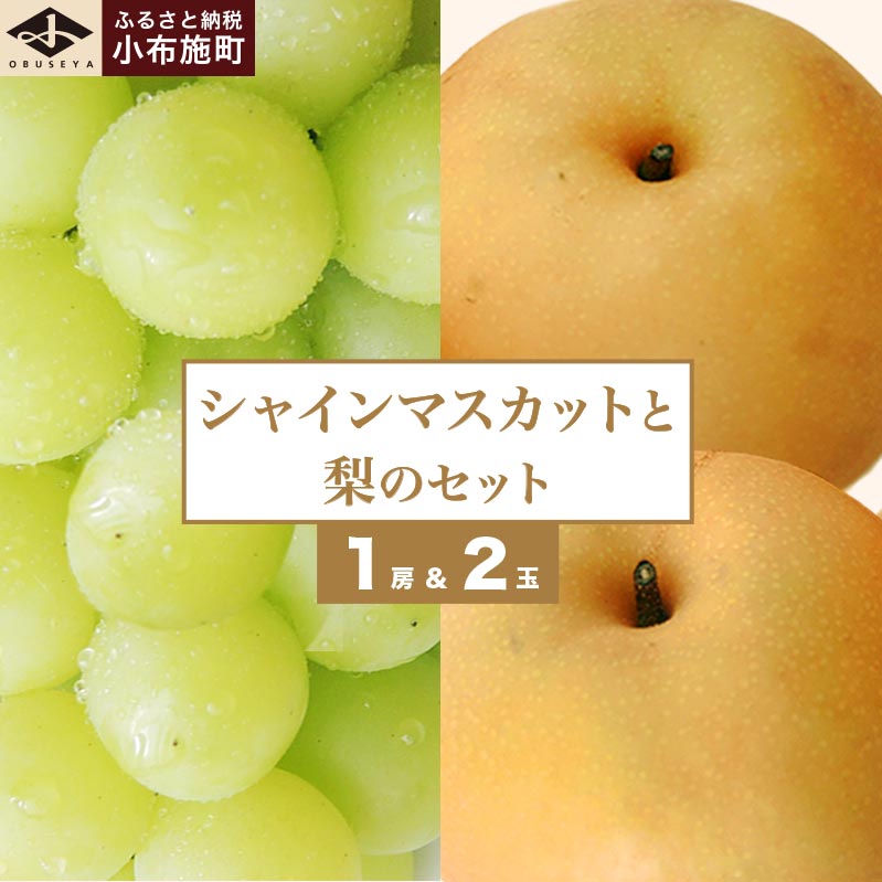 【ふるさと納税】シャインマスカット1房と梨2玉 詰め合わせ ［小布施屋］果物 詰合せ セット フルーツ ぶどう なし シャインマスカット 先行予約 期間限定 冷蔵便 クール便 数量限定 長野県産 信州産 令和7年産 【2025年9月中旬頃～10月下旬頃まで順次発送】