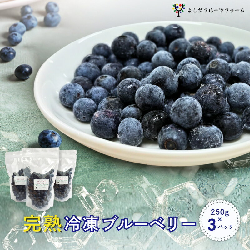 【ふるさと納税】【2026年8月中旬～順次発送】国産 冷凍ブルーベリー 750g (250g×3パック) ※出荷時期にご注意ください。 ラビットアイ ブルーベリー ぶるーべりー フルーツ 果物 くだもの 産地直送 期間限定 数量限定 大阪 河内長野 よしだフルーツファーム