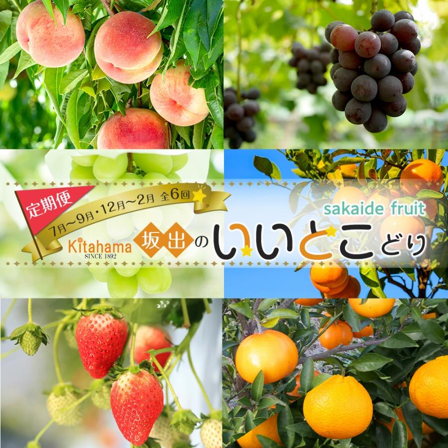 【ふるさと納税】坂出のいいとこどり定期便 【7月・8月・9月・12月・1月・2月】 全6回 | フルーツ定期便 定期便 セット 詰め合わせ フルーツ 果物 くだもの みかん いちご せとか 桃 マスカット 食品 人気 おすすめ 香川県 坂出市 送料無料