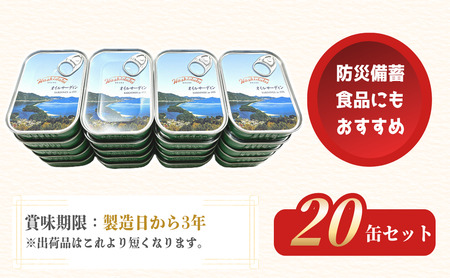橋立印 オイルサーディン （いわし油づけ） 20缶入 │ 竹中 罐詰 缶詰 缶詰め まとめ買い レシピ サラダ 備蓄 防災 非常食 保存食 油漬け 天橋立 京都 宮津 イワシ セット つまみ 加工 魚