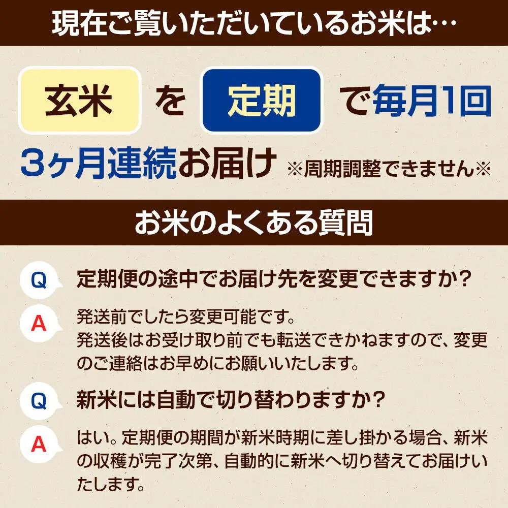 《令和8年産 新米予約》【玄米】《定期便3回》真田のコシヒカリ小松姫 プレミアム 5kg×1袋 金井農園