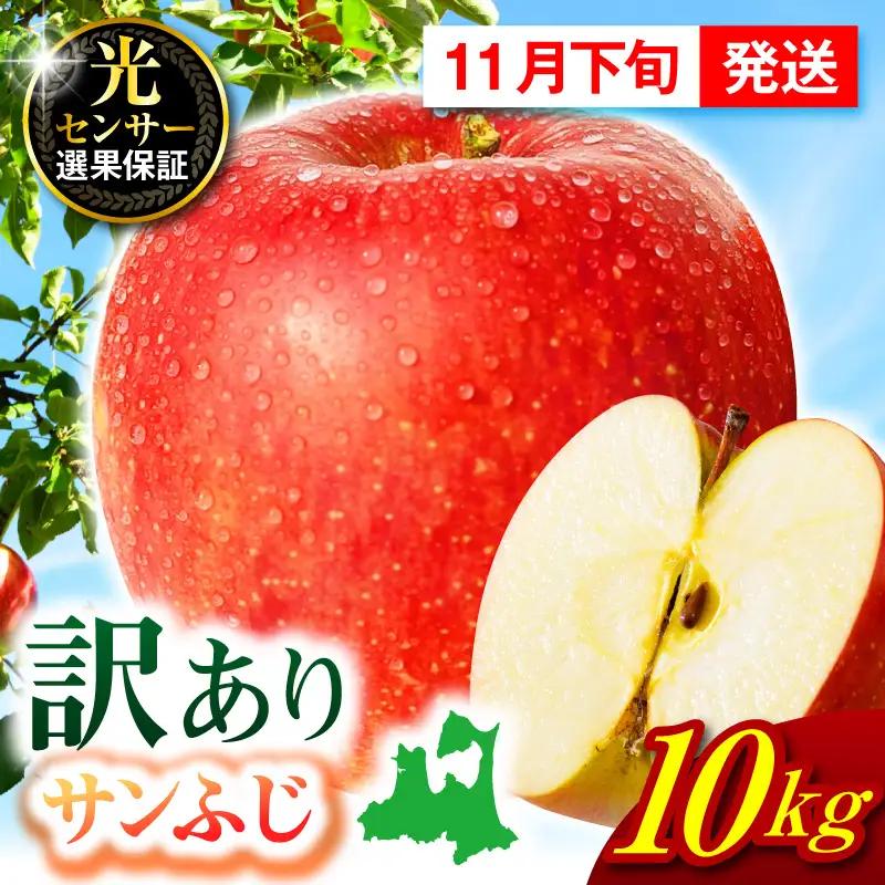 【2026年11月下旬発送】【訳あり】 りんご 約10kg サンふじ 青森 家庭用 りんご