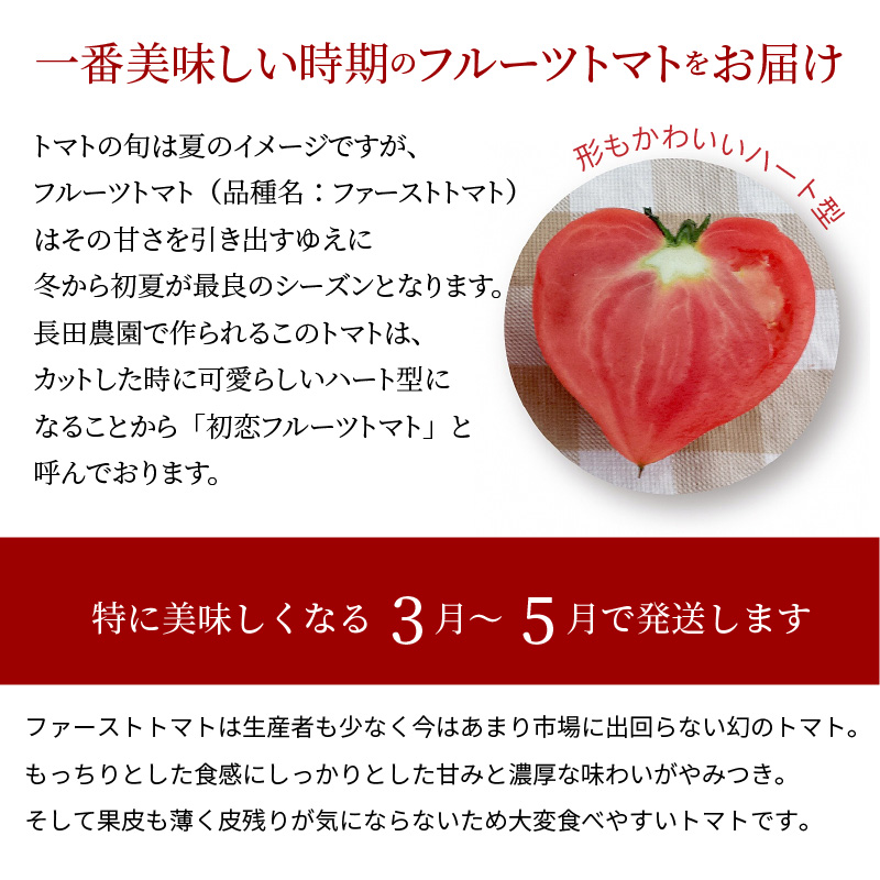 【2026年度予約分】【大人気！】たった3ヶ月しか食べられない　幻のファーストトマト 　たっぷり約1.4kg（3月～5月発送） 野菜ソムリエサミット 金賞 受賞 長田農園 産地直送 トマト とまと 野