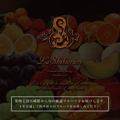 ふるさと納税 新富町 【発送月固定定期便】南国宮崎 プレミアムフルーツ定期便Vol.2【G47】全12回 |  | 02