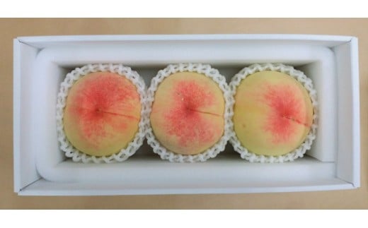 【2026年発送】とろける岡山の大玉白桃   3玉（約1.0kg）