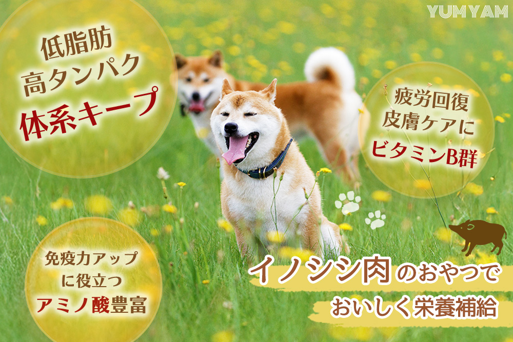 脊振ジビエの YUMYAM JERKY【ジビエ イノシシ ペットフード おやつ 低カロリー 高タンパク】(H121101)