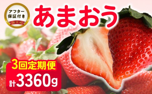 
                  【いちごの定期便】福岡県産 あまおう 合計3,360g (2月・3月・4月の3回 1,120g(280g×4パック))_【定期便】福岡県産 あまおう 2月 3月 4月 3回お届け 1,120g 280g × 4パック 計 3,360g  いちご 果物 アレンジ おやつ お菓子 苺タルト クッキー スイーツ スムージー ジャム お取り寄せ 福岡県 久留米市 送料無料_Fi035
                