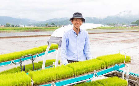 【2025年10月下旬より順次発送開始】野上耕作舎 野上米ヒノヒカリ 白米5kg ひのひかり 白米 米 お米 ご飯 国産 九州産 福岡県 うきは市