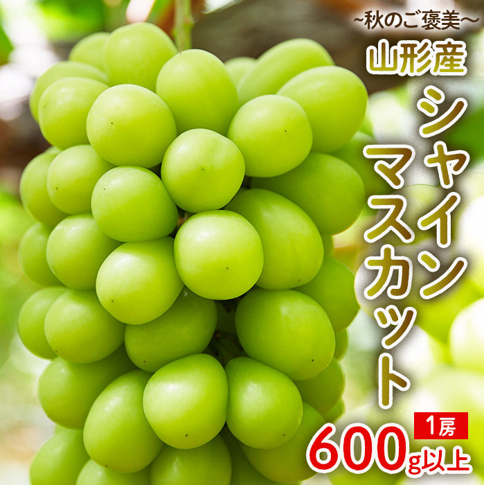 ～秋のご褒美～シャインマスカット1房 600g以上【令和8年産先行予約】FU22-016