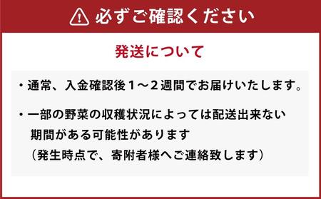 シニア犬にも！北海道産食材のみ使用 無添加ペットフード（レトルトタイプ）
