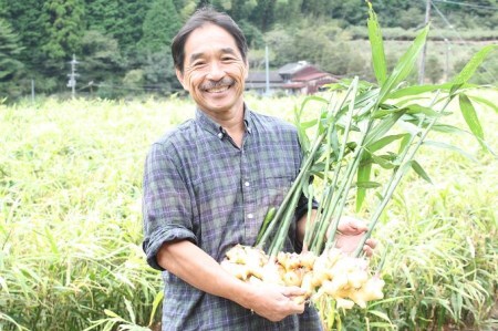 有機黄金生姜の味わいセット／Ftf-03
