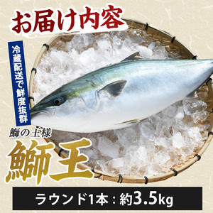 【10月以降順次発送】テレビで紹介ぶりの王様「 鰤王 」 まるごと 1本 ラウンド 先行予約 産地直送 長島町 特産品 ブランド 鰤 冷蔵 ふるさと納税 ぶり 刺身 ぶりしゃぶ ぶり大根 海鮮丼【JF