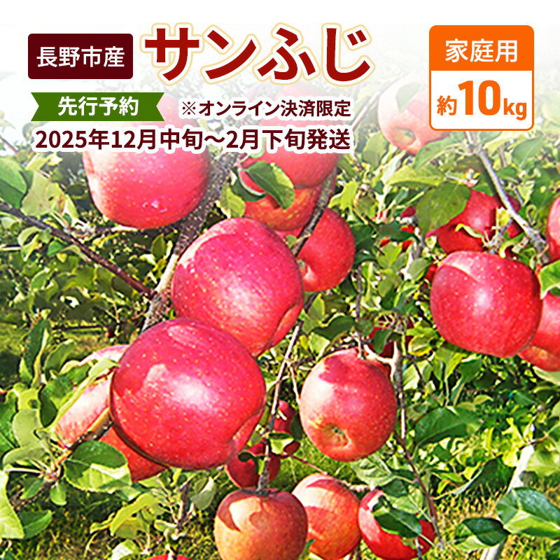 【ふるさと納税】先行予約 長野市産サンふじ家庭用 約10kg 2025年12月～2026年3月発送　※オンライン決済限定 果物 フルーツ デザート 食後 おやつ 長野県産 信州 りんご 代表品種 濃厚 　お届け：2025年12月上旬～2026年3月中旬