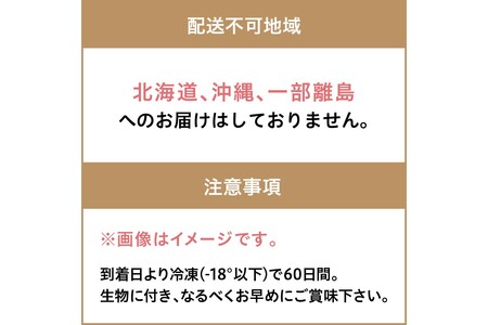 大満足！京丹後・海鮮BBQ　Fセット　豪華盛り合わせ　生ズワイガニ　アワビ付　7種23品（4～5人前）