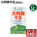 【ふるさと納税】【定期便】【1ヶ月毎10回】大阿蘇牛乳 250ml 24本 計240本（24本×10回） 牛乳 ミルク 成分無調整牛乳 乳飲料 乳性飲料 熊本県産 国産 九州 熊本県 菊池市 送料無料