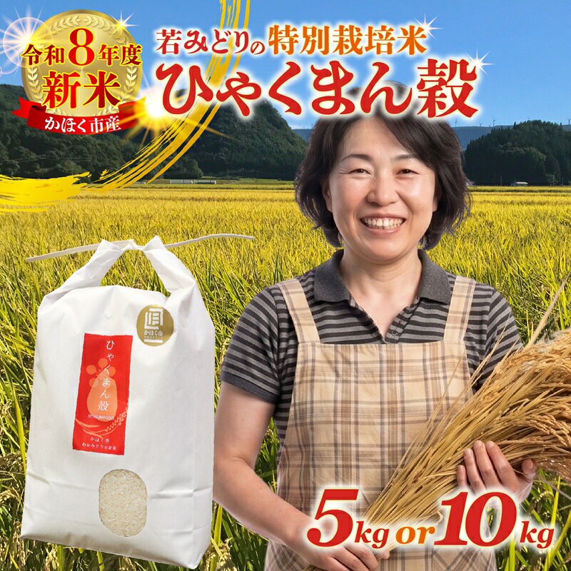 【ふるさと納税】【選べる容量・発送月】【11月～3月発送】若緑産 特別栽培米「ひゃくまん穀」5kg～10kg / 令和8年産 新米 米 単一原料米 ひゃくまんごく 国産 こめ コメ 食品 常温 ご飯 お取り寄せ