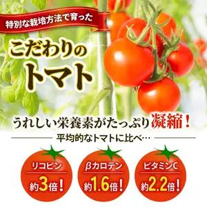 先行予約 訳あり トマト ごほうびとまと 1.2kg トマト