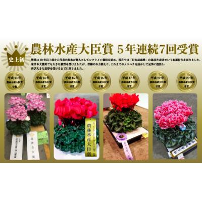 ふるさと納税 南相馬市 【2026年 先行予約】花ギフト定期便 4ヶ月(1-4月) | 花定期便 花ギフト 花苗 根本園芸 |  | 01