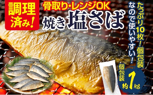 
										
										調理済み さば 焼き塩さばフィーレ 骨取り 10枚入 加熱済み 調理不要 レンジOK 焼きさば 1kg 加熱不要 骨取り 個包装 鯖 さばフィレ さばフィーレ 骨なし 焼き鯖 塩サバ 塩さば 魚 焼き魚 焼魚
									