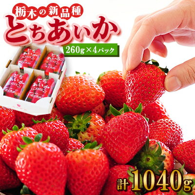 【ふるさと納税】『葛生農場』新鮮!!栃木の新品種　『とちあいか』(260g×4パック)_ いちご 苺 フルーツ 果物 くだもの とちあいか 栃木 新品種 人気 おすすめ 送料無料 ギフト 贈答 4パック 【配送不可地域：離島】【1385999】