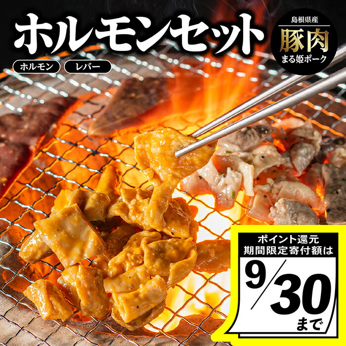 【ふるさと納税】 【9/30迄の限定寄附額】まる姫ポーク ホルモンセット ホルモン ( 味噌 / ねぎ塩 ) レバー ( 味噌 / ねぎ塩 ) 【AK-4】｜送料無料 国産 豚肉 ぶた肉 ぶたにく 肉 ホルモン レバー 味付き 味付け 焼肉 やきにく バーベキュー 小分け パック 冷凍配送 江津市｜