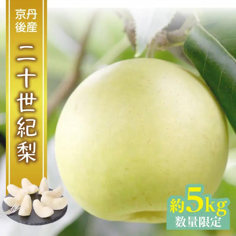 梨 【数量限定】京都丹後産 二十世紀梨 5kg（2026年9月上旬～発送） 梨 梨 梨 梨 梨