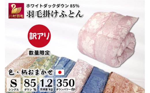 
訳あり 色柄おまかせ 羽毛布団【 シングル 】ホワイトダックダウン 85％ 1.2kg 本掛け 軽量生地 TTC / 川村羽毛 / 山梨県 韮崎市 [20741670] 布団 ふとん 羽毛 日本製 数量限定
