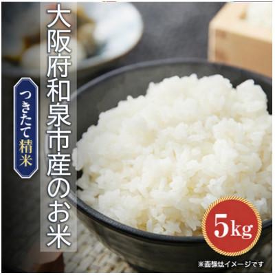 ふるさと納税 和泉市 【発送月固定定期便】大阪府和泉市の農家さんが心を込めて作ったお米　1袋5kg　【単一品種】全3回