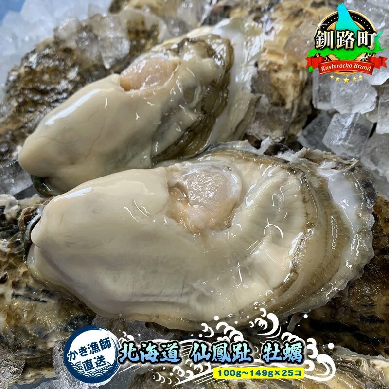 【ふるさと納税】＼先行予約／【容量＆個数が選べる！】北海道 仙鳳趾名産 牡蠣 ＋かきナイフ付き かき漁師直送 K1＜出荷時期：2025年9月1日ごろ〜順次出荷予定＞＜センポウシ : 釧路町の東 厚岸湾の西 カキの名産地＞ 北海道 釧路町 釧路超 特産品 br02