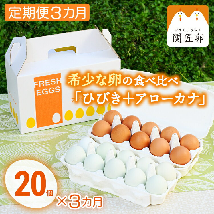 【ふるさと納税】【定期便3か月】関匠卵　ひびき+アローカナハーフセット（計20個×3か月）｜卵 赤玉 アローカナ 青玉 セット 食べ比べ 詰合せ ギフト 贈答 プレゼント 栄養 生みたて 新鮮 生卵 数量限定 関養鶏場 茨城県 古河市 ※北海道・沖縄・離島への配送不可 _CP07