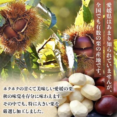 ふるさと納税 西予市 厳選　大粒むき栗　200g×3袋 |  | 01