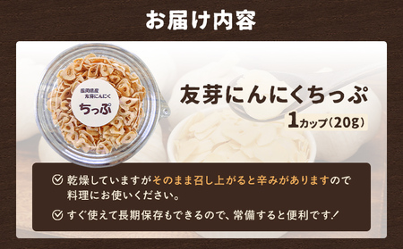 にんにく チップ 友芽にんにく 20g メール便 ポスト投函 
